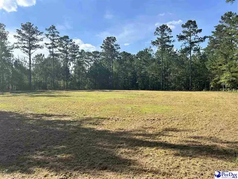 2886 Stephens Rd # C, Bethune, SC 29009 photo 8
