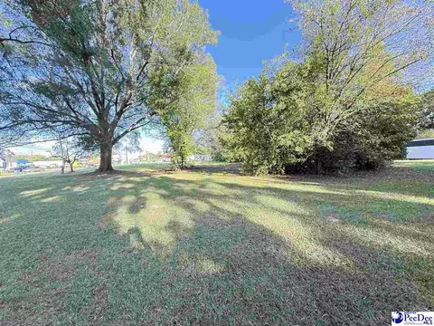 920 E Godbold St, Marion, SC 29571 photo 4