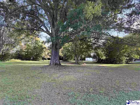 920 E Godbold St, Marion, SC 29571