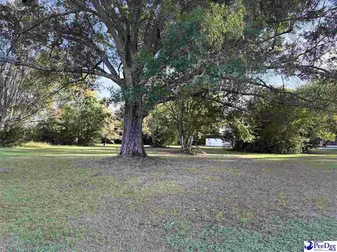 920 E Godbold St, Marion, SC 29571