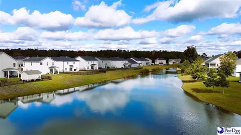 View/Area - 1200 Summer Duck Loop, Florence, SC 29501 photo 4 of 14