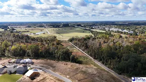 View/Area - 1200 Summer Duck Loop, Florence, SC 29501 photo 8 of 14