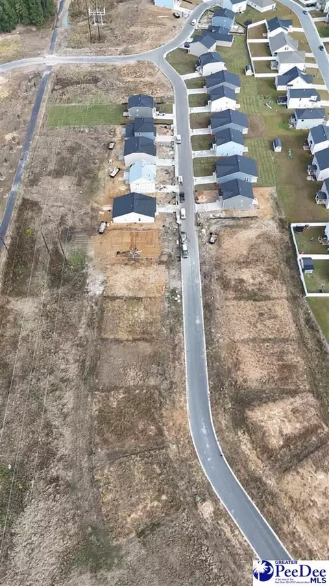 View/Area - 1200 Summer Duck Loop, Florence, SC 29501 photo 13 of 14