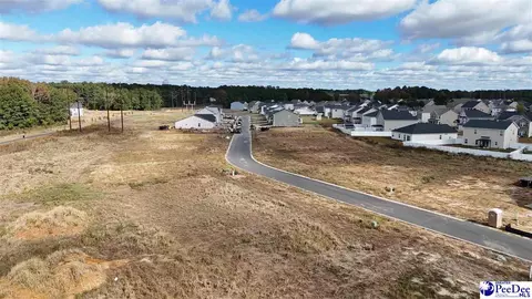 View/Area - 1200 Summer Duck Loop, Florence, SC 29501 photo 11 of 14