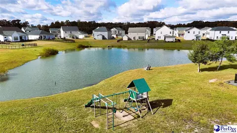 View/Area - 1200 Summer Duck Loop, Florence, SC 29501 photo 3 of 14