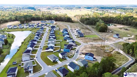 View/Area - 1200 Summer Duck Loop, Florence, SC 29501 photo 7 of 14