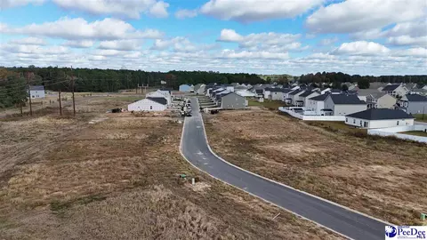 View/Area - 1200 Summer Duck Loop, Florence, SC 29501 photo 10 of 14