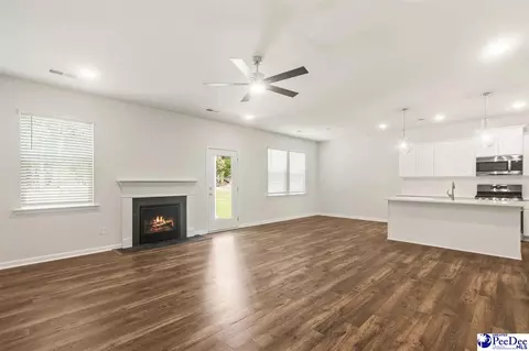Living - 1184 Summer Duck Loop, Florence, SC 29501 photo 2 of 3