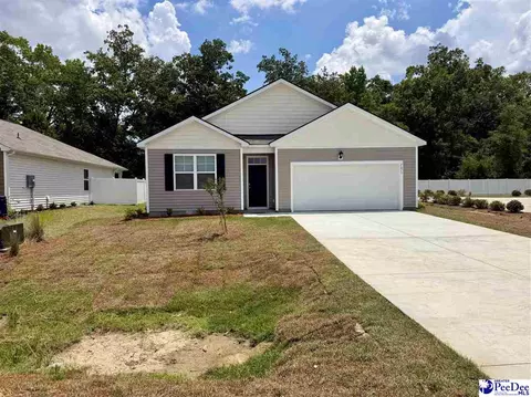2075 E Paces Trl, Darlington, SC 29532 photo 1