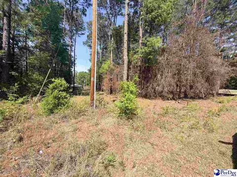 14 Frost Rd, Bennetsville, SC 29512