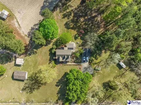 View/Area - 289 Bullard Ford Rd, Hartsville, SC 29550 photo 3 of 7