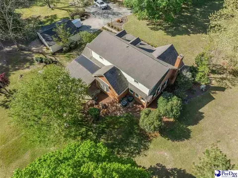 View/Area - 289 Bullard Ford Rd, Hartsville, SC 29550 photo 1 of 7