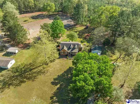 Other - 289 Bullard Ford Rd, Hartsville, SC 29550 photo 8 of 8