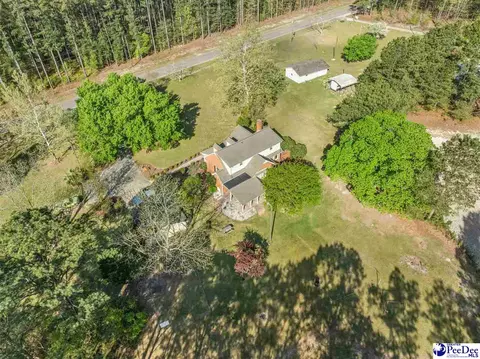 View/Area - 289 Bullard Ford Rd, Hartsville, SC 29550 photo 5 of 7