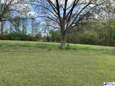 Other - 2709 Newton Rd, Mccoll, SC 29570 photo 2 of 4
