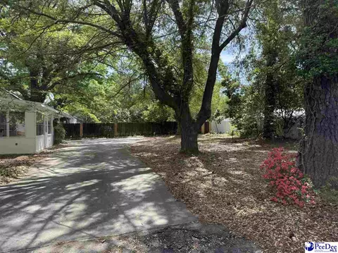 Exterior - 119 Patsy Ln, Cheraw, SC 29520 photo 7 of 8