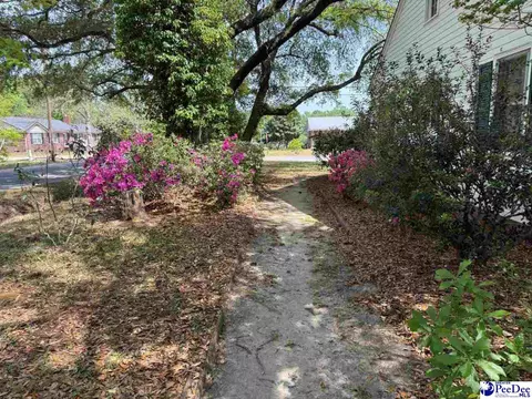 Exterior - 119 Patsy Ln, Cheraw, SC 29520 photo 8 of 8