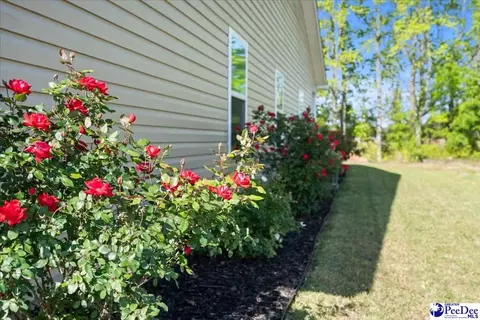 1423 Bourbon Dr, Florence, SC 29501 photo 2