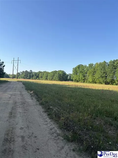 tbd Tobacco Land Rd, Dillon, SC 29536 photo 2