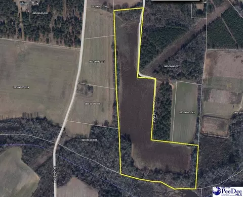 tbd Tobacco Land Rd, Dillon, SC 29536 photo 5