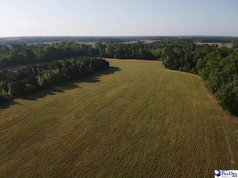 tbd Tobacco Land Rd, Dillon, SC 29536