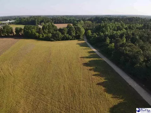 tbd Tobacco Land Rd, Dillon, SC 29536 photo 3