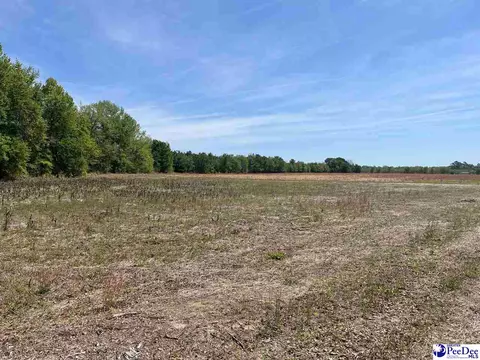 Mta 2 Judson Rd, Dillion, SC 29567