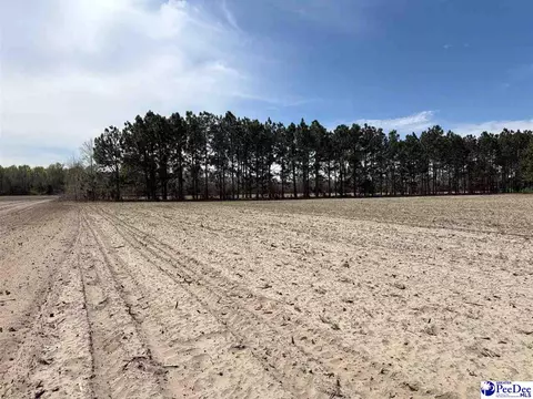 Mta 5 Heustess Rd, Dillion, SC 29567