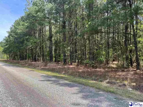 Mta 7 Heustess Rd, Dillion, SC 29567