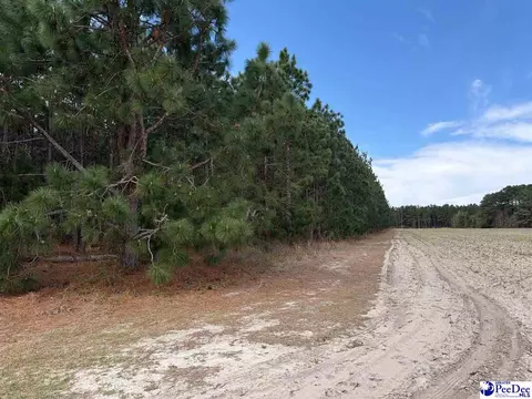 Mta 8 Heustess Rd, Dillion, SC 29567