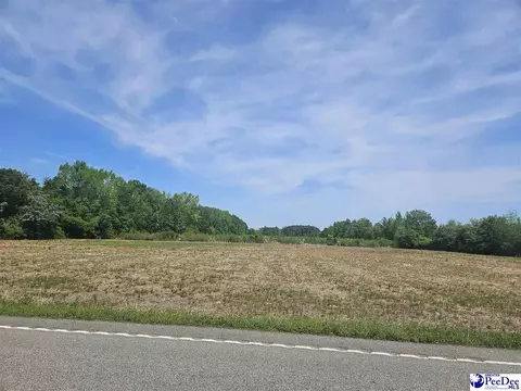114 Fairfield Rd, Dillon, SC 29536