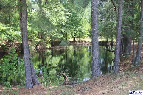 232 Semper Fi Ln, Lamar, SC 29069 photo 29