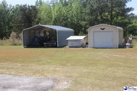 232 Semper Fi Ln, Lamar, SC 29069 photo 18
