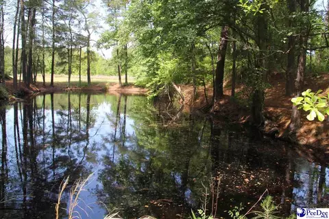 232 Semper Fi Ln, Lamar, SC 29069 photo 31