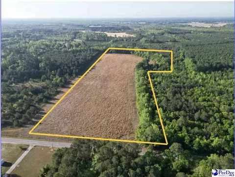20 35 Acres Mineral Springs St, Lamar, SC 29069