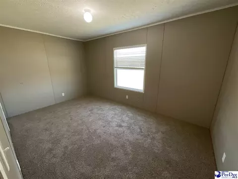 732 Dovefield Rd, Lamar, SC 29069 photo 21