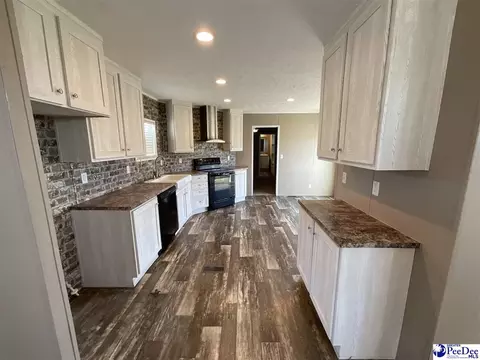 732 Dovefield Rd, Lamar, SC 29069 photo 13