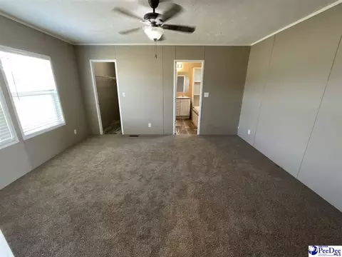 732 Dovefield Rd, Lamar, SC 29069 photo 15