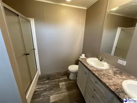 732 Dovefield Rd, Lamar, SC 29069 photo 19