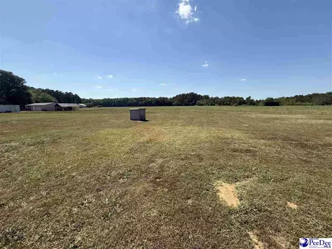 732 Dovefield Rd, Lamar, SC 29069 photo 9