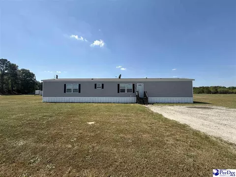 732 Dovefield Rd, Lamar, SC 29069 photo 1
