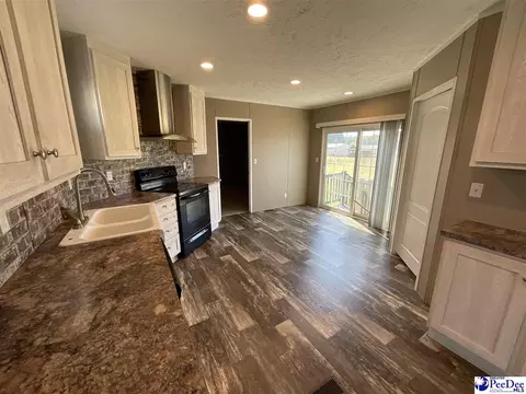 732 Dovefield Rd, Lamar, SC 29069 photo 12
