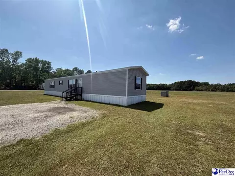 732 Dovefield Rd, Lamar, SC 29069 photo 8