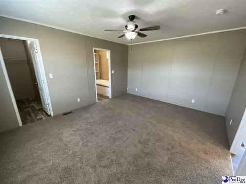 732 Dovefield Rd, Lamar, SC 29069 photo 16