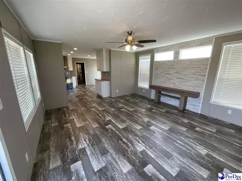 732 Dovefield Rd, Lamar, SC 29069 photo 11