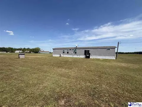 732 Dovefield Rd, Lamar, SC 29069 photo 3