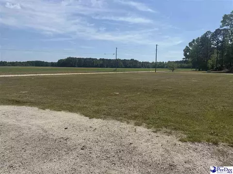 732 Dovefield Rd, Lamar, SC 29069 photo 6