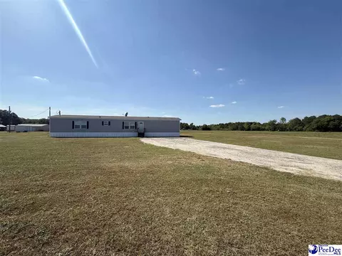 732 Dovefield Rd, Lamar, SC 29069 photo 5