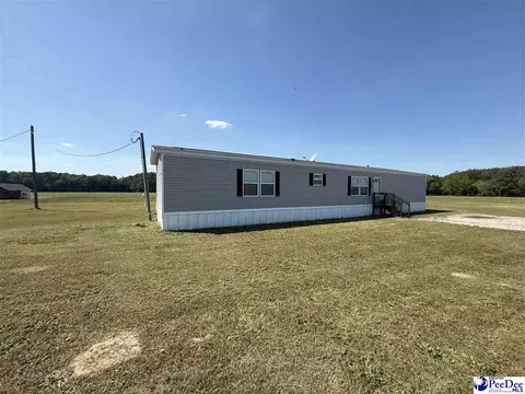 732 Dovefield Rd, Lamar, SC 29069 photo 4