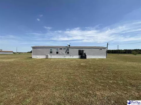 732 Dovefield Rd, Lamar, SC 29069 photo 2